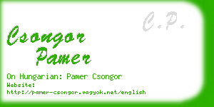 csongor pamer business card